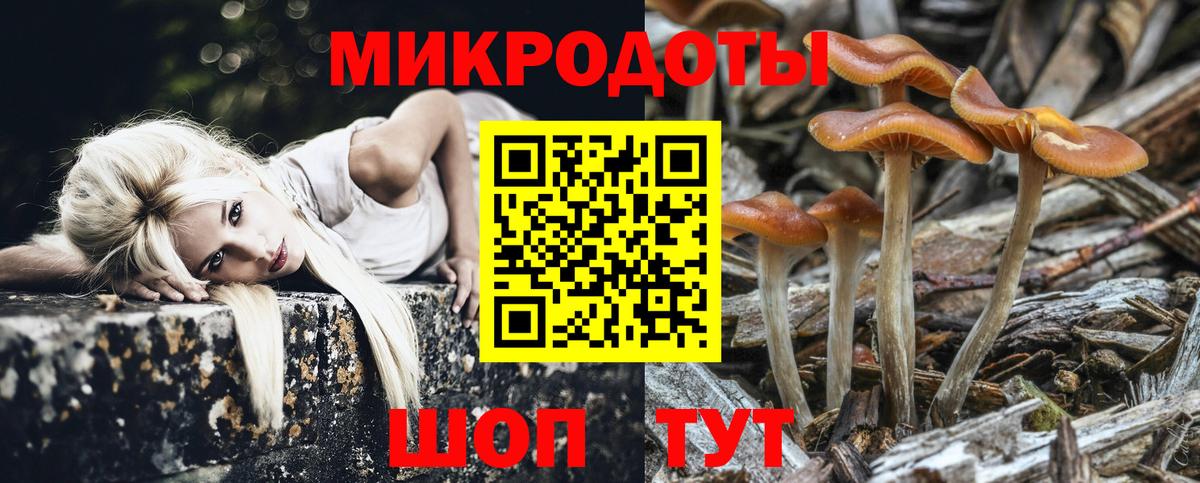 Псилоцибиновые грибы MAGIC MUSHROOMS  Галлюциногенные грибы прущие грибы  Кунгур  Вход с VPN 