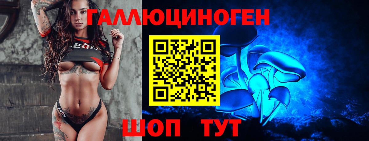 Галлюциногенные грибы GOLDEN TEACHER Кунгур